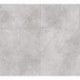 Papier peint PROFITEX P492740026