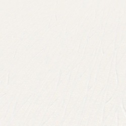 Papel Pintado PROFITEX P492740059