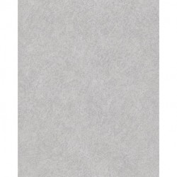 Papel Pintado TEMPO A61502