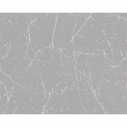 Papier peint TERRA 385043