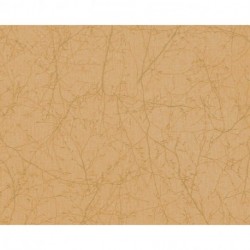 Papier peint TERRA 385044