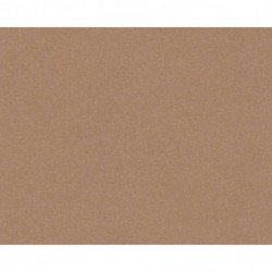 Papier peint TERRA 389262