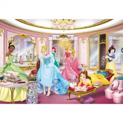 Fotomural DISNEY by KOMAR 8-4108 Disney Princess Mirror