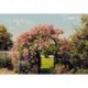 Fotomural FLORAL AND WELLNESS 8-936 Rose Garden