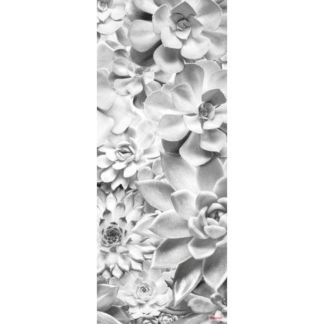 Fotomural FLORAL AND WELLNESS P962-VD1 Shades Black And White