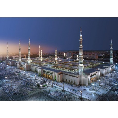Fotomural GALLERY 8-107 Medina Mosque