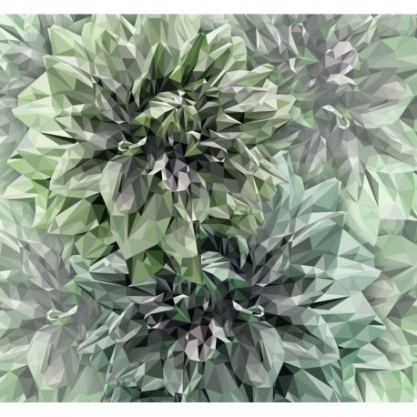 Fotomural GALLERY INX6-036 Emerald Flowers