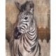 Mural GALLERY X4-1010 Zebra