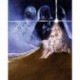 Fotomural STAR WARS by KOMAR 008-DVD2 Star Wars Poster Classic 2