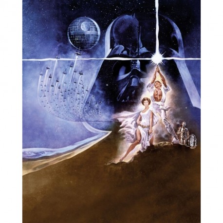 Mural STAR WARS by KOMAR 008-DVD2 Star Wars Poster Classic 2