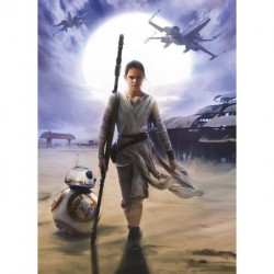 Mural STAR WARS by KOMAR 4-448 Star Wars Rey