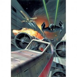 Mural STAR WARS by KOMAR DX4-042 Star Wars Classic Death Star Trench Run