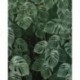 Mural TROPICAL P035-VD2 Monstera On Marble