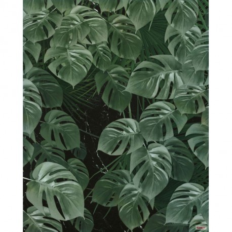 Fotomural TROPICAL P035-VD2 Monstera On Marble