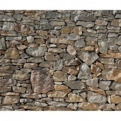 Mural WOOD AND STONES 727-DV3 Stone Wall