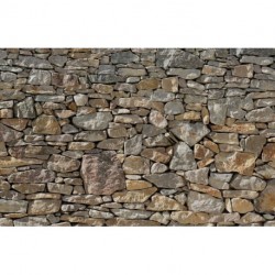 Fotomural WOOD AND STONES X8-727 Stone Wall