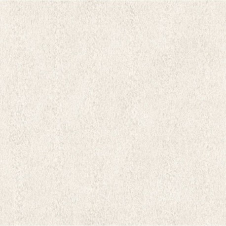 Papel de Parede AFRICAN QUEEN 423204