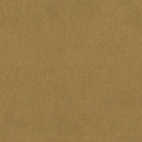Papel de Parede AFRICAN QUEEN 751031