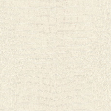 Papier peint AFRICAN QUEEN 751321