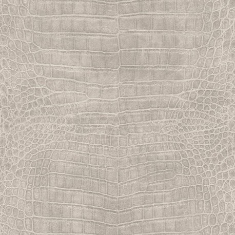Papel de Parede AFRICAN QUEEN 751338
