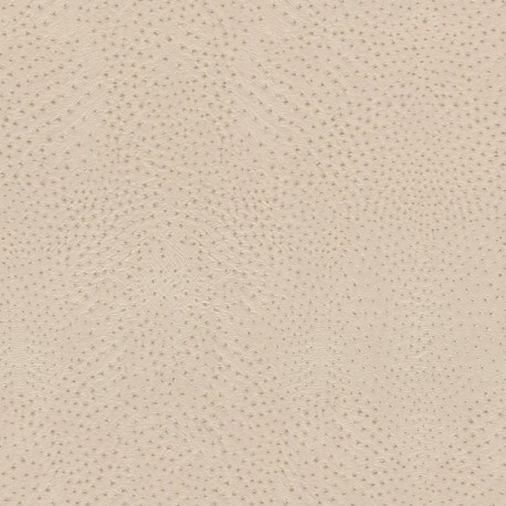 Wallpaper AFRICAN QUEEN 751512