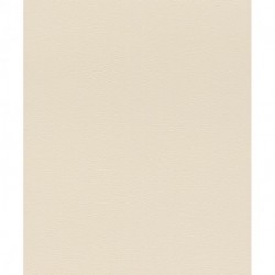 Papier peint AFRICAN QUEEN 752625