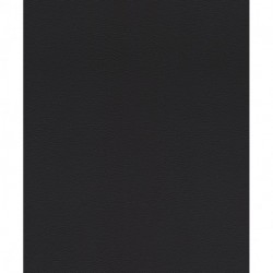 Papel de Parede AFRICAN QUEEN 752656