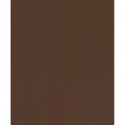Papier peint AFRICAN QUEEN 752663