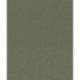 Papier peint AFRICAN QUEEN 752687