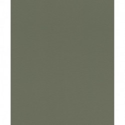 Papier peint AFRICAN QUEEN 752687