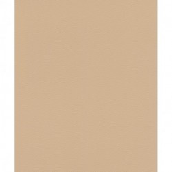 Papier peint AFRICAN QUEEN 752694