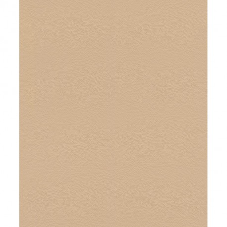 Papier peint AFRICAN QUEEN 752694