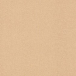 Papier peint BAMBINO 252866