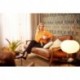 Papier peint BARBARA Home Collection Vol 3 560572