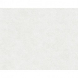 Papel de Parede BETON 2 116055