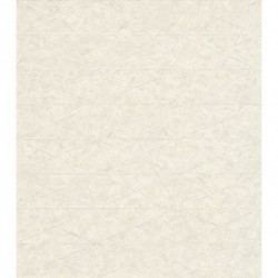 Papel de Parede COMPOSITION 554311