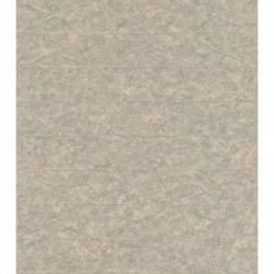 Papel de Parede COMPOSITION 554342