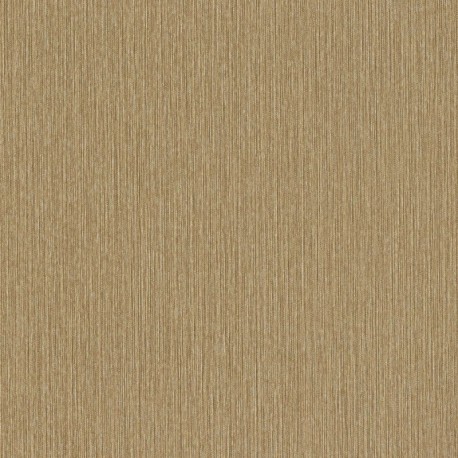 Wallpaper CURIOSITY 537703