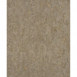 Papel Pintado CURIOSITY 538342