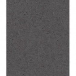 Papier peint FACTORY V 520927