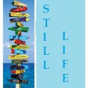 STILL LIFE