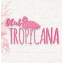 CLUB TROPICANA