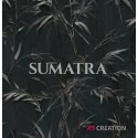 SUMATRA